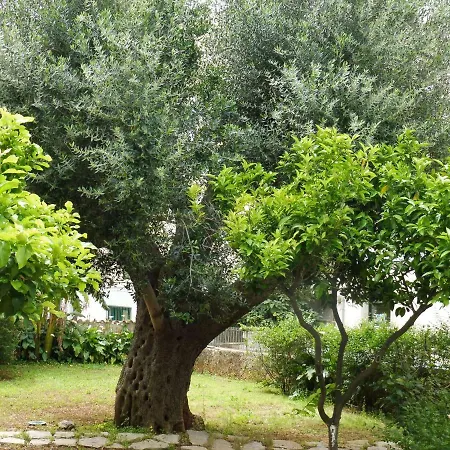 Santa Maria Aparthotel Marina di Camerota